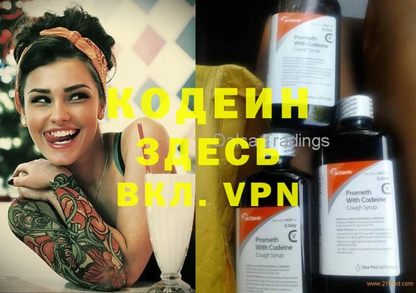 стаф Сковородино