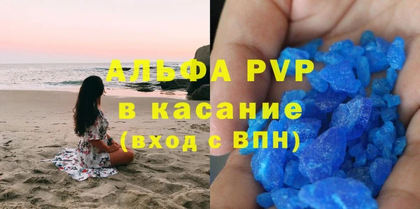прущие грибы Горняк