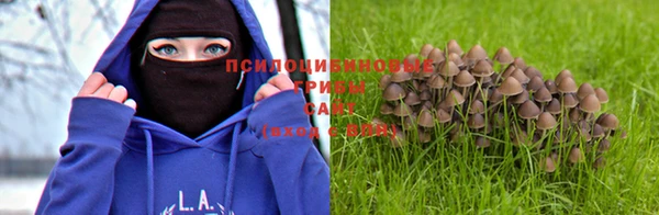 прущая мука Надым