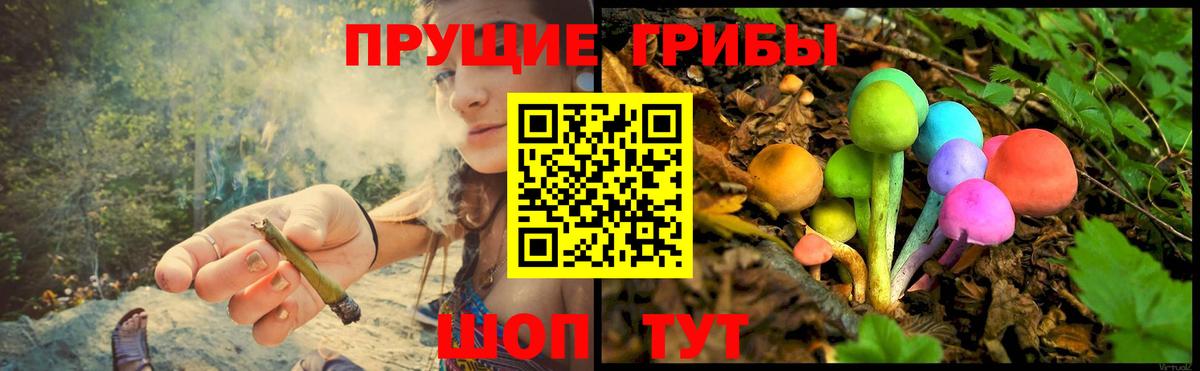 Ступино  Псилоцибиновые грибы GOLDEN TEACHER  Вход с VPN 