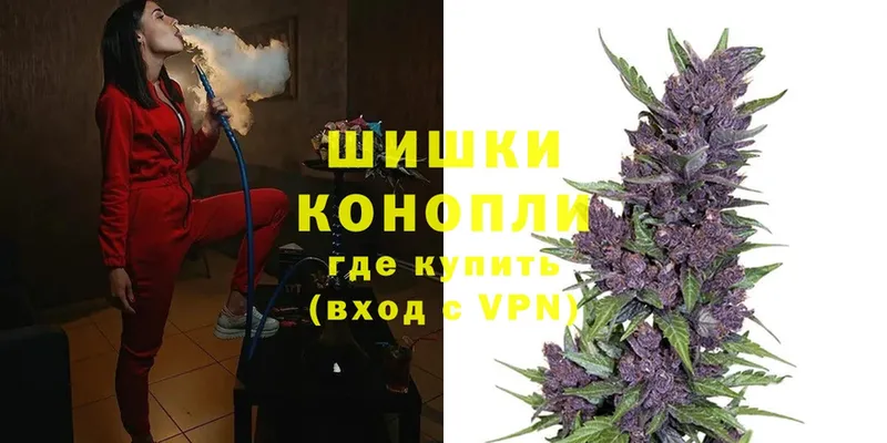 Бошки марихуана семена  Ступино 